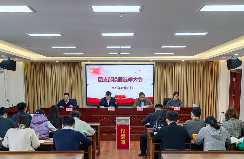 团支部换届选举大会 团支部换届选举大会